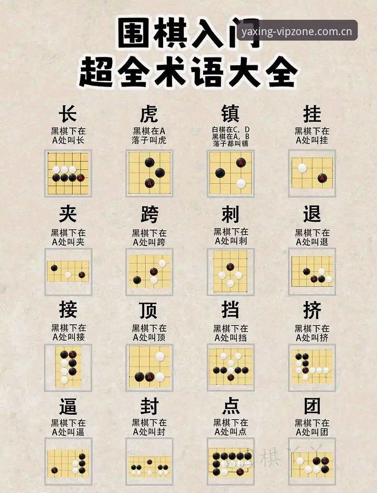 亚星游戏平台官网实用指南：从入门到精通的必备知识